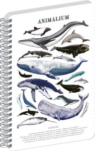 NOTIQUE Spirálový blok Animalium – Pod mořem, linkovaný, A5