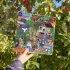 Fall apple picking 1000 Piece Puzzle, eeboo