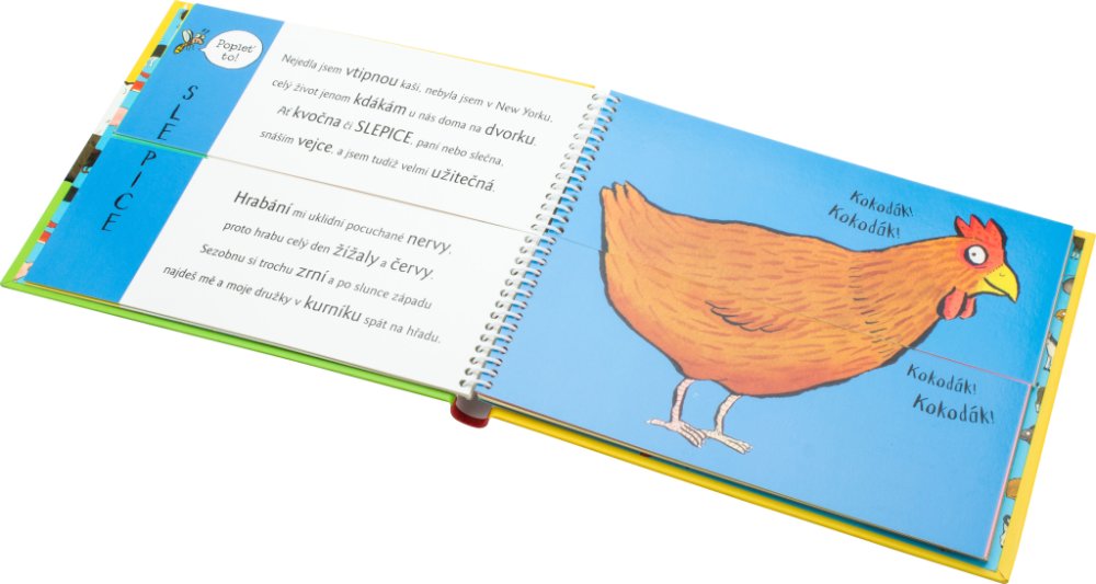 Rozpustilé hrátky Na dvoře - kniha