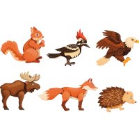 Magnetic puzzle forrest animals set of 6