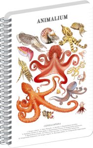 NOTIQUE Spirálový blok Animalium – Hlavonožci, linkovaný, A4