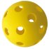 Schildkröt – sada na pickleball