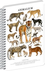 NOTIQUE Spirálový blok Animalium – Kočkovité šelmy, čtverečkovaný, A4