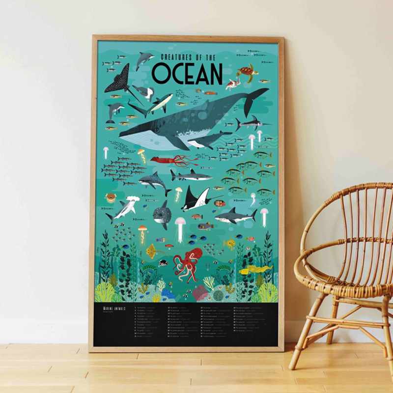 OCEÁNY- vzdělávací samolepkový plakát