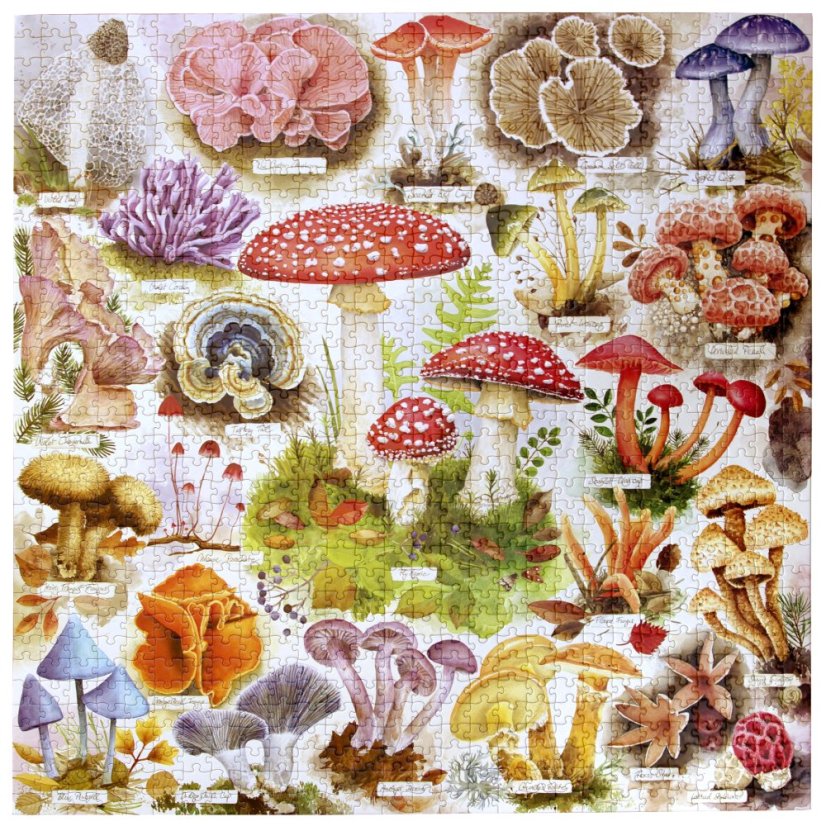 Bountiful Mushrooms -  1000 Piece Puzzle, eeBoo