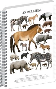 NOTIQUE Spirálový blok Animalium – Lichokopytníci, čtverečkovaný, A4