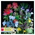 Summer Garden Sampler 1000 Piece Rectangular Puzzle, eeBoo