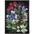 Summer Garden Sampler 1000 Piece Rectangular Puzzle, eeBoo