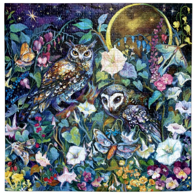 Moon Garden -  1000 Piece Puzzle eeBoo