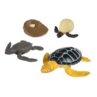 Vzdělávací sada Životní cyklus mořské želvy
