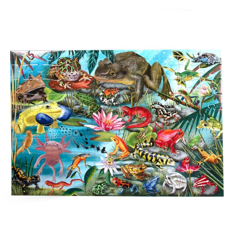 Láska k obojživelníkům - puzzle 100 dílků, eeboo