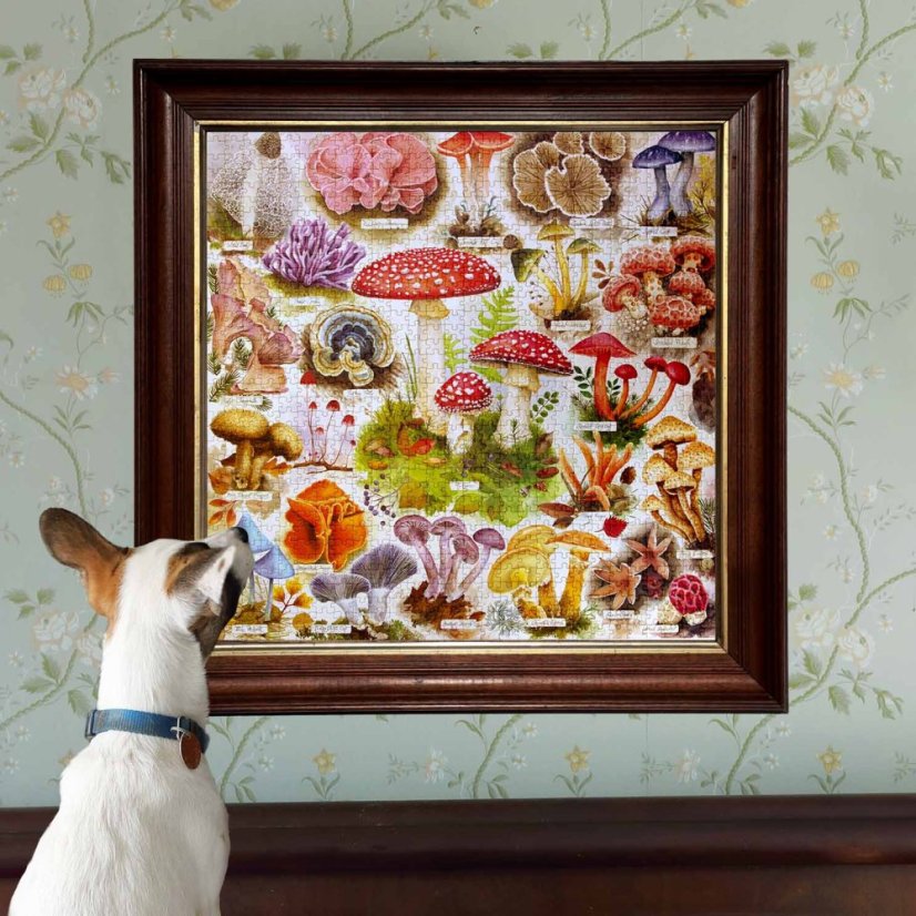 Bountiful Mushrooms -  1000 Piece Puzzle, eeBoo