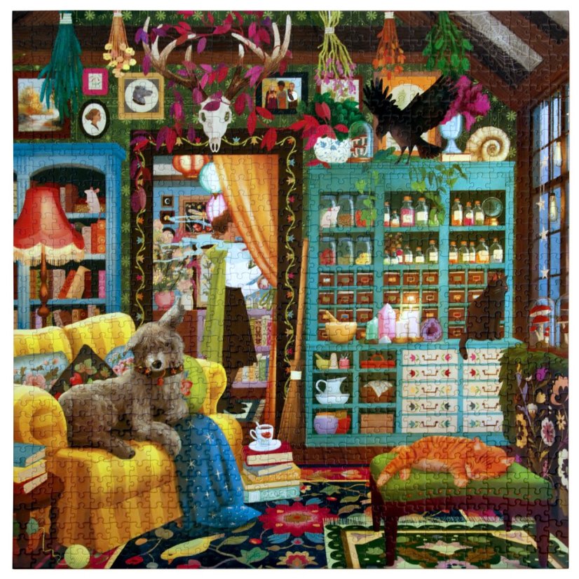 Kouzelníkova komnata - puzzle 1000 dílků, eeBoo