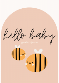 Přání k narození miminka Hello baby Včeličky