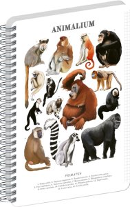 NOTIQUE Spirálový blok Animalium – Primáti, čtverečkovaný, A4